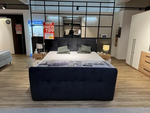 Boxspringbett TRENDSTOTE Hollie